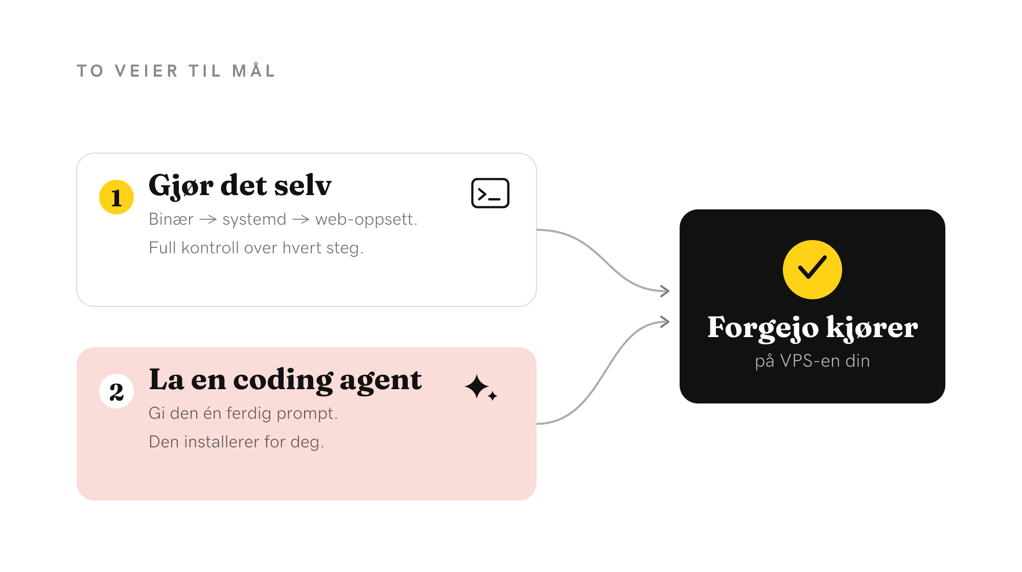 To veier til mål: gjør det selv via binær og systemd, eller la en coding agent gjøre det — begge ender med Forgejo kjørende på VPS-en din.