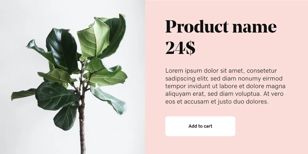 ecommerce